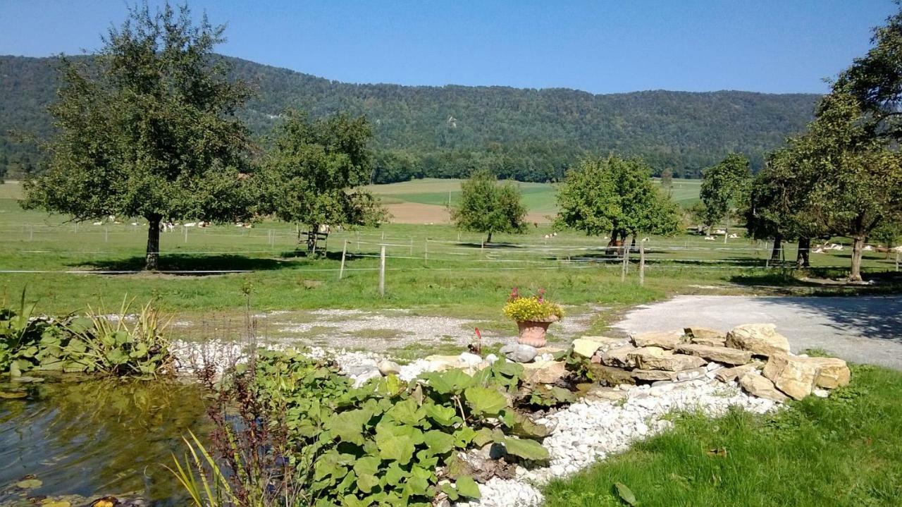 Apartement-Gite Rural A 3 Km De Delemont Courcelon エクステリア 写真